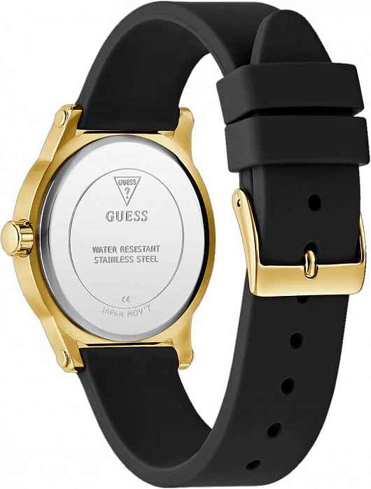 GW0860L1