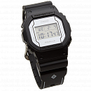 DW-5600PGB-1E