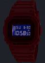 DW-5600RRB-4